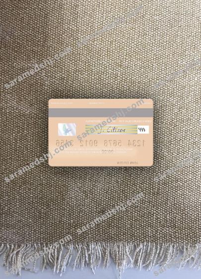 Pakistan Al Baraka Bank visa debit card photolook back